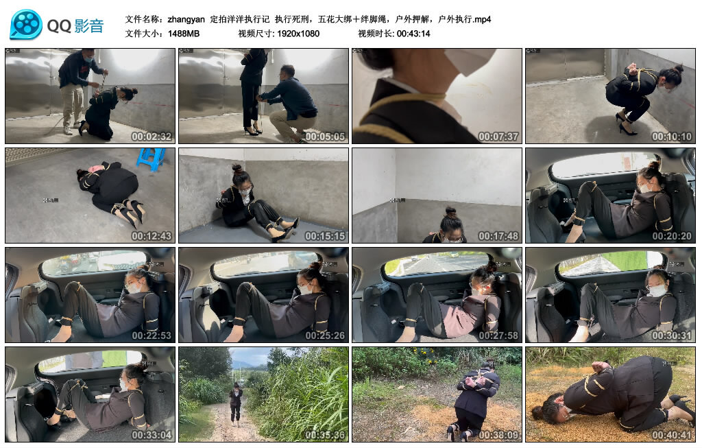 【zhangyan】定拍洋洋执行记-绳艺套路资源网