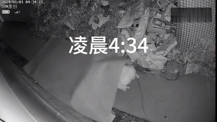 B678 – 无意识户外小路泡沫垫无差别踩全身1.0 bf42902-绳艺套路资源网